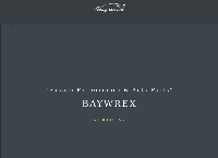 BayWrex's website