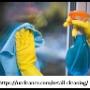 retail cleaning service