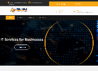 Reliable InfoTech Solutions's website