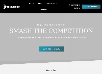 The Big Unit's website