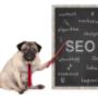 seo consultant