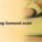 smsf-processing-services