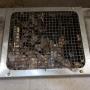maintenance to ventilation systems