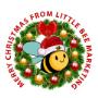 Little bee
