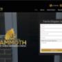 Previous work - Mammoth Security Screens Website