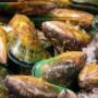 Green Lip Mussels NZ
