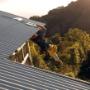 Alltech Coatings