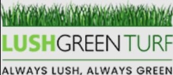 Lush Green Turf