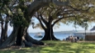 Watsons Bay Sydney