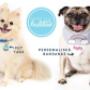 dog accessories