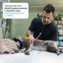 animal welfare