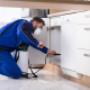 Pest Control Experts