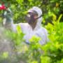 Pro Pest Control Melbourne