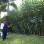 Residential Pest Control