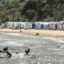 mount martha realestate