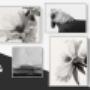 Black and White Wall Arts