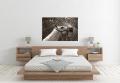 Find the Perfect Wall Art in Australia with Art Goat