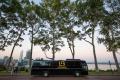 48 Seater Limo Party Bus