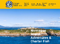 Montague Island Adventures