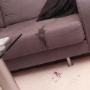 Upholstery-Stain-Removal