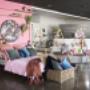 Vavoom Showroom image