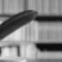 Agricultural Consultancy in Sydney