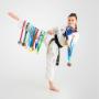 Pinnacle Martial Arts Taekwondo Academy in Chester Hill South West Sydney for kids teens & adults