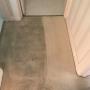 carpet cleaning in process - domestic