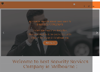 Safezone Security Services's website