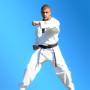 Karate Near Me - Pinnacle Martial Arts in Marrickville, Sydenham, Tempe, Earlwood, Dulwich Hill, New
