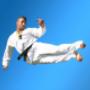 Pinnacle Taekwondo Martial Arts in Tempe Inner West Sydney