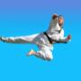 Try Pinnacle Martial Arts Taekwondo in Earlwood