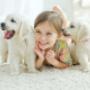 Rug-cleaning-image