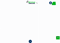 Pet Stain Remover's website
