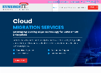 synergy it professional's website