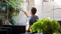 Window-Cleaning-Services