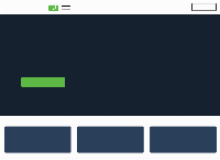 LoansOne's website