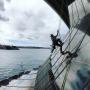 Window Cleaning, Sydney Opera House