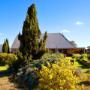 Castagna Vineyard