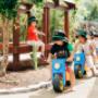 Little-Scholars-Ormeau_Offer