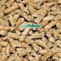 Wood Pellet