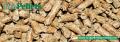 Wood Pellet