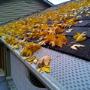 Leaf Protection Roof