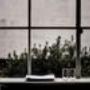 Home window tinting
