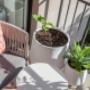 Clovelly Landscape Design Sydney