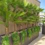 Double Bay Landscape Design - Vogue & Vine