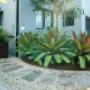 Dover Heights front garden eastern Suburbs