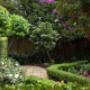 Edgecliff garden design, Eastern Suburbs, Sydney