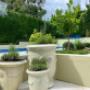 Killara landscape design - Vogue & Vine Landscape Designer Sydney