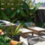Landscape design in Rose Bay Sydney - Vogue & Vine Landscape Designers Sydney